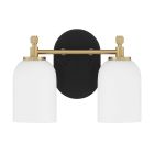 The Council - 60302-FBSB is a modern wall sconce with two white frosted glass shades, a gold-colored metal frame with satin brass accents, and an oval black base. Its design is minimalistic and sophisticated.