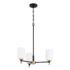 The Council - 60323-FBSB chandelier features a black metal frame, three cylindrical frosted glass shades, a vertical rod on a round canopy with chain, and satin brass accents on the lamp holders.